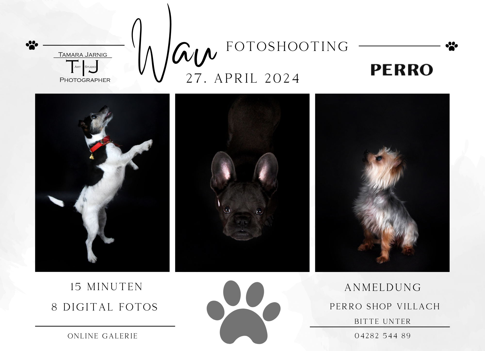 Kopie von Kopie von pet mini session template (7.25 × 5.25 Zoll)